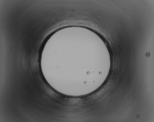 X0000102821498200809081119