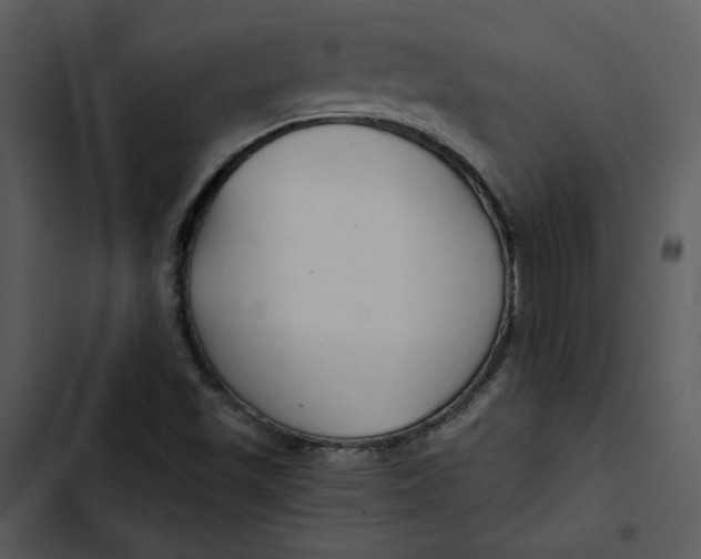 X0000102821501200809081119
