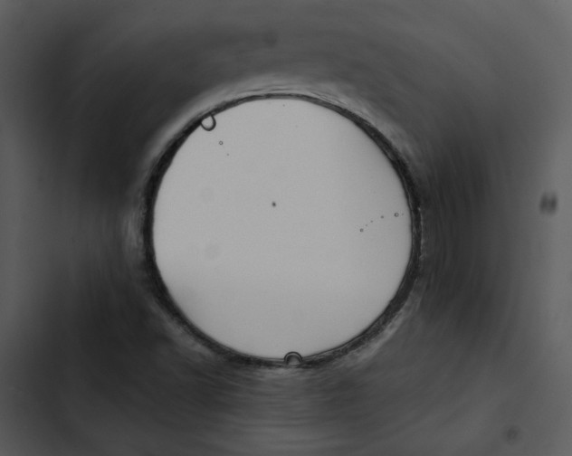 X0000102821502200809081119