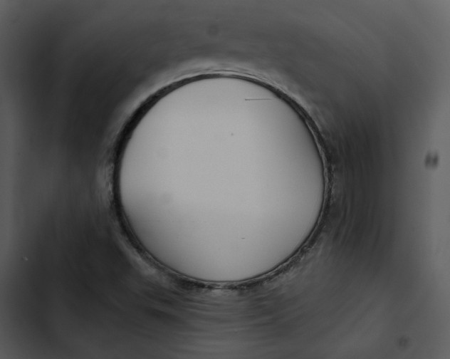 X0000102821503200809081119