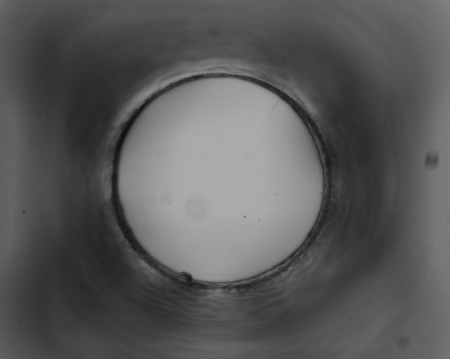 X0000102821504200809081119
