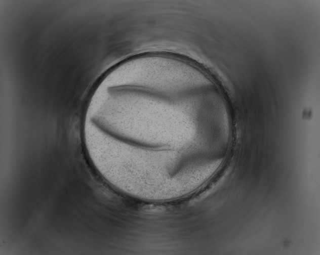 X0000102821505200809081119