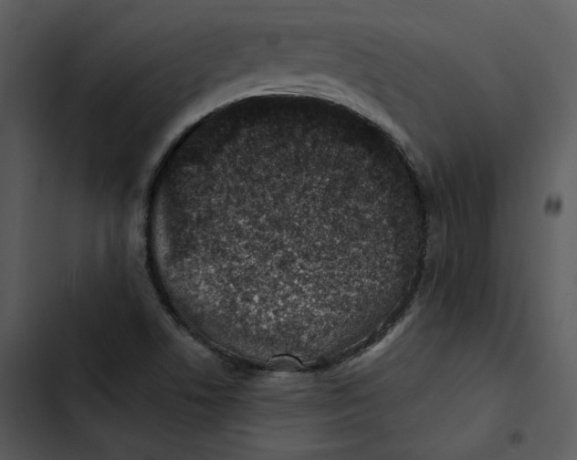 X0000102821506200809081119
