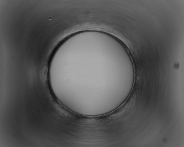 X0000102821507200809081119