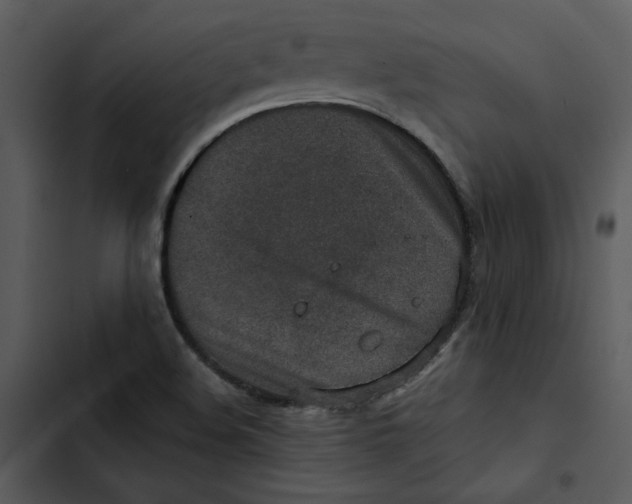 X0000102821508200809081119