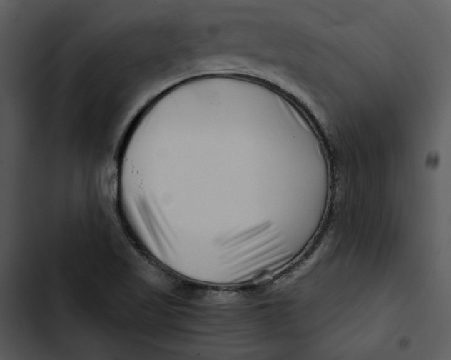 X0000102821509200809081119
