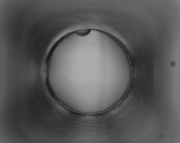 X0000102821510200809081119
