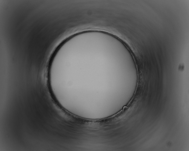 X0000102821511200809081119