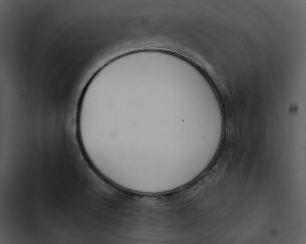X0000102821512200809081119
