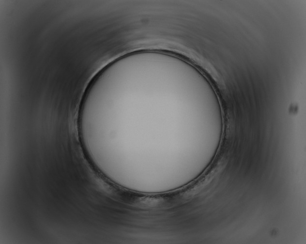 X0000102821513200809081119