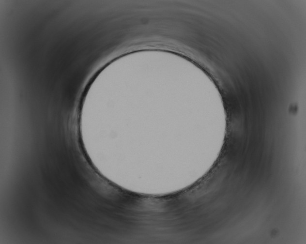 X0000102821514200809081119