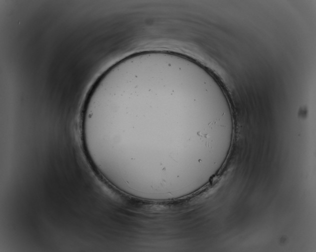 X0000102821517200809081119