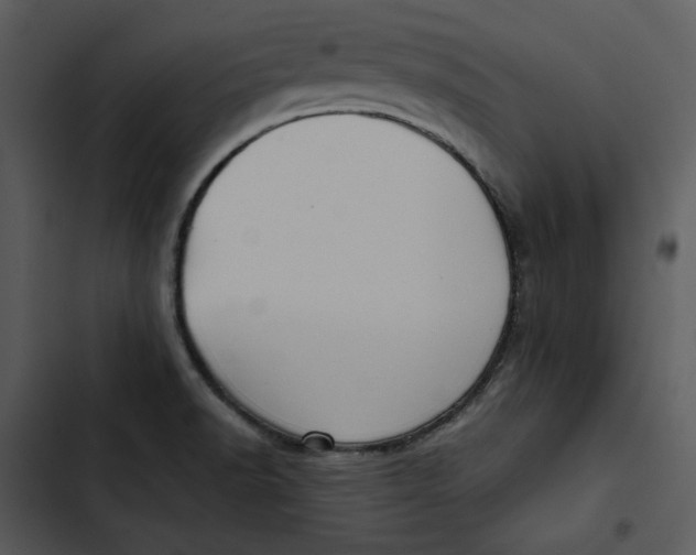 X0000102821518200809081119