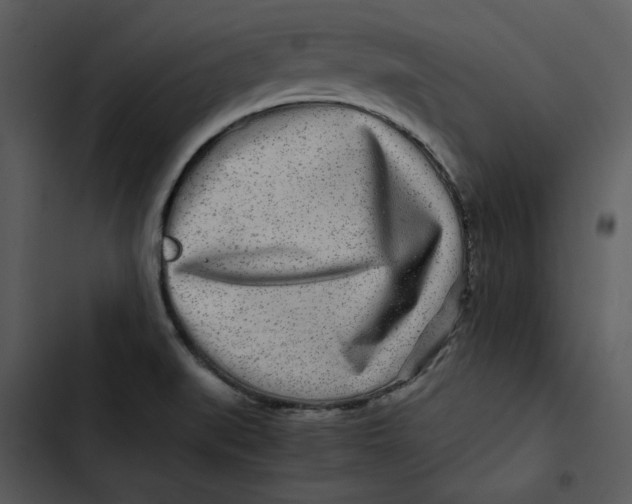 X0000102821519200809081119