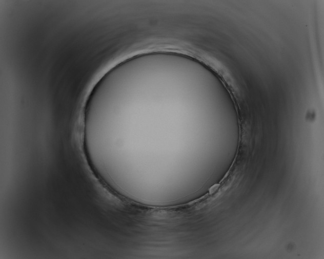 X0000102821520200809081119