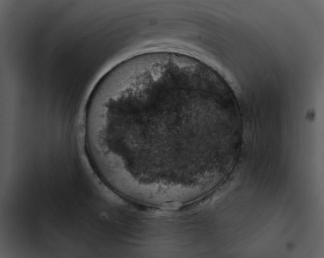 X0000102821522200809081119