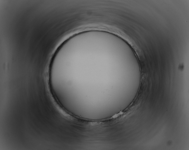 X0000102821523200809081119