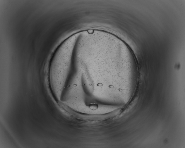 X0000102821525200809081119