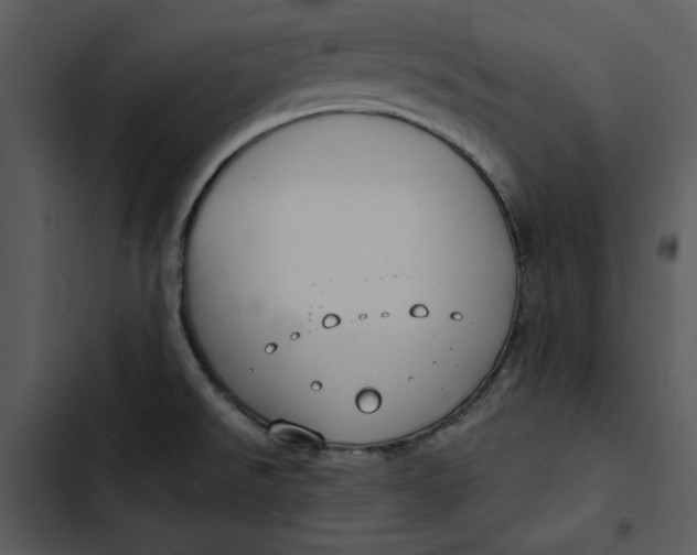 X0000102821526200809081119