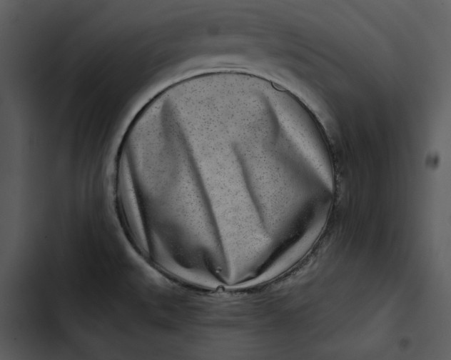 X0000102821527200809081119