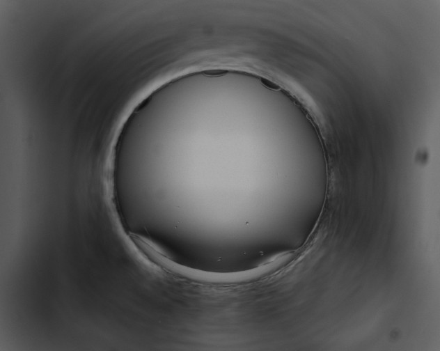X0000102821528200809081119