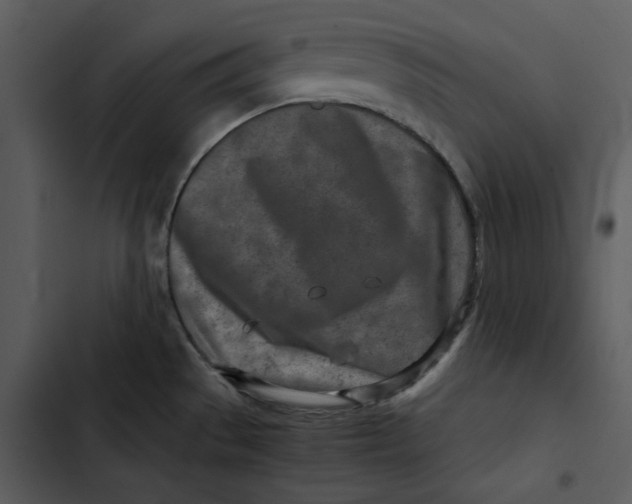 X0000102821529200809081119