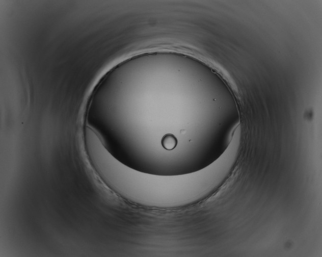 X0000102821530200809081119