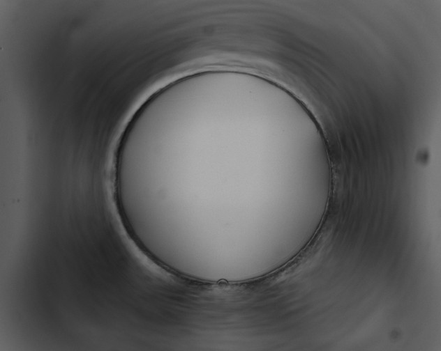 X0000102821531200809081119