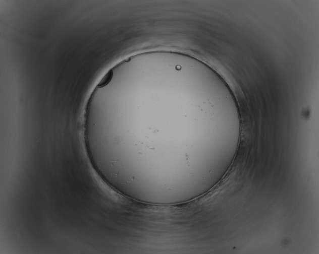 X0000102821532200809081120