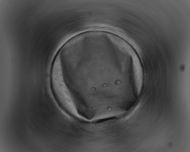 X0000102821533200809081120