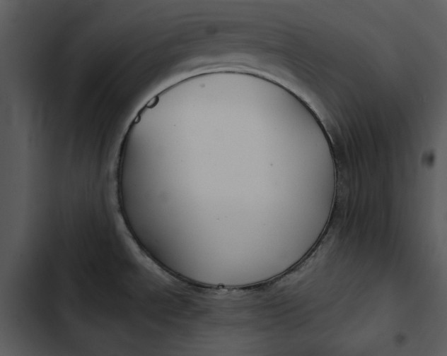 X0000102821534200809081120