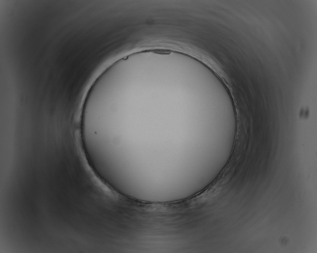 X0000102821536200809081120