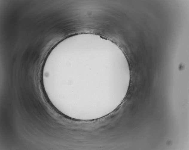 X0000102820001200809151026