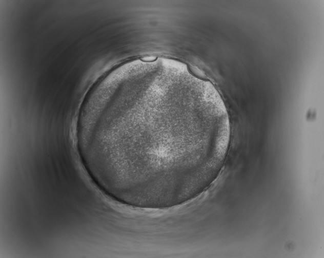 X0000102820002200809151026