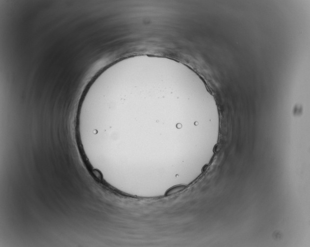 X0000102820003200809151026