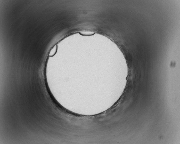 X0000102820004200809151026