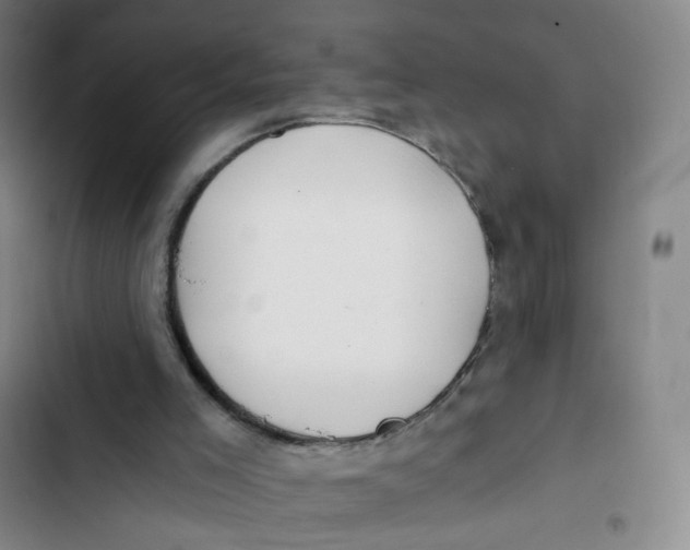 X0000102820005200809151026