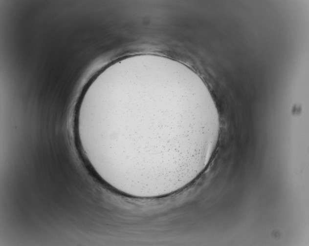 X0000102820006200809151026