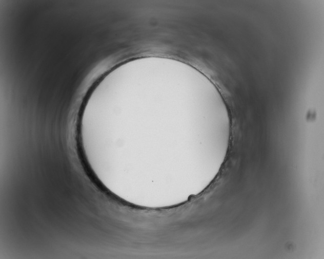 X0000102820007200809151026