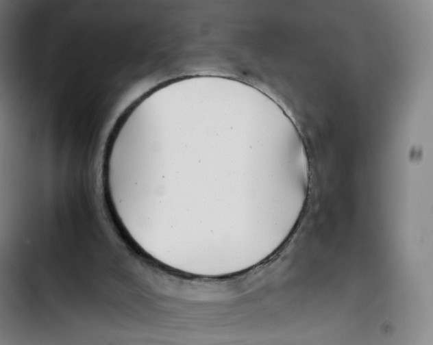X0000102820008200809151026
