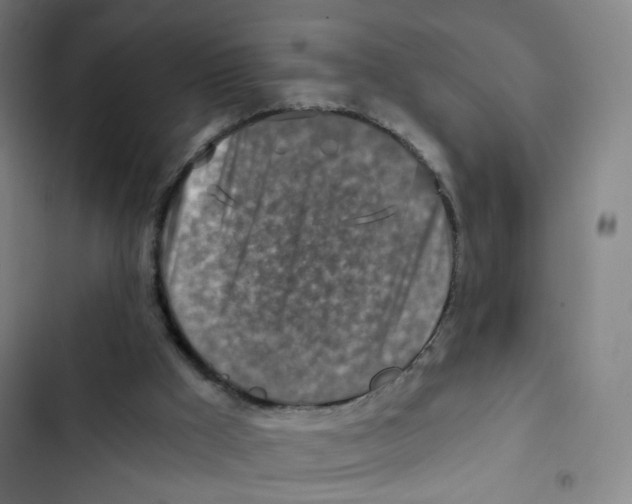X0000102820009200809151026