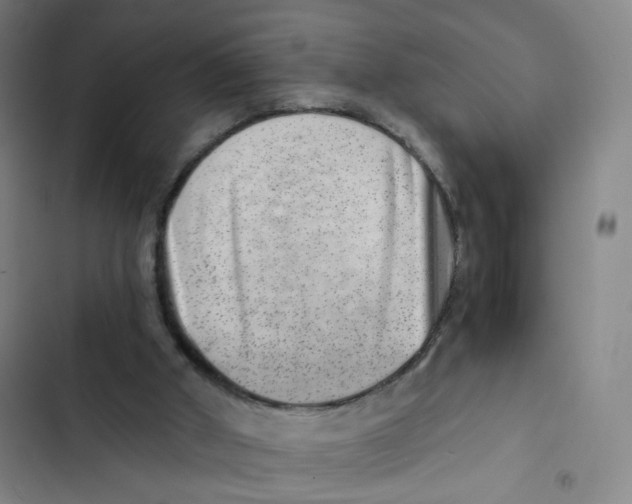 X0000102820010200809151026