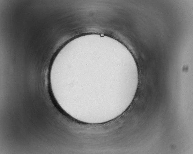 X0000102820011200809151026