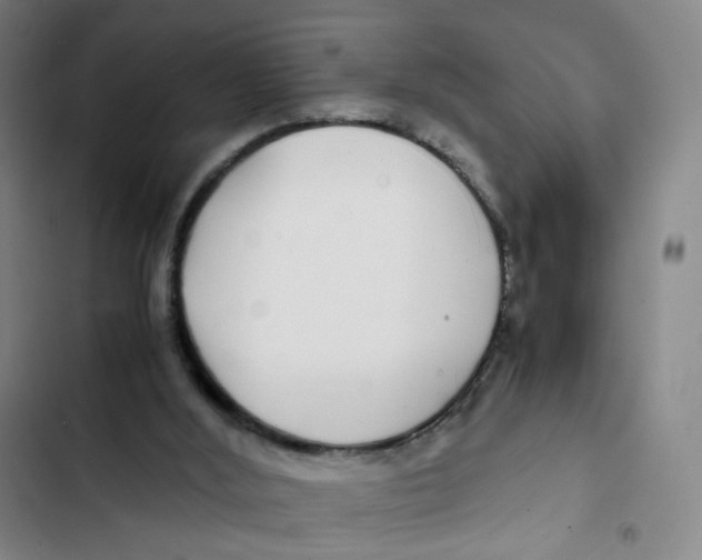 X0000102820012200809151026