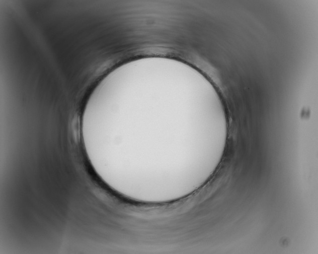 X0000102820013200809151026