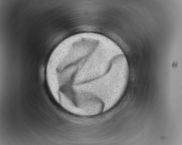 X0000102820014200809151026