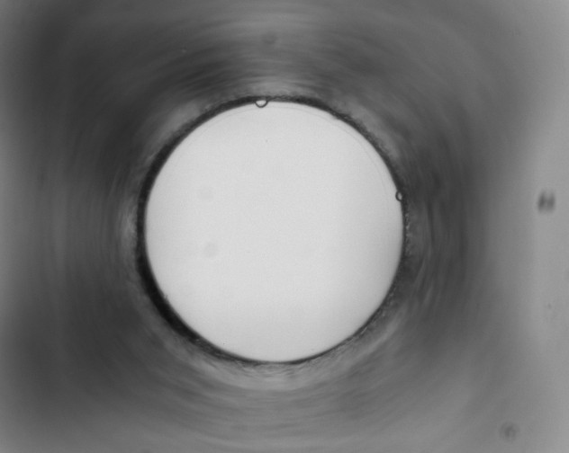 X0000102820015200809151026