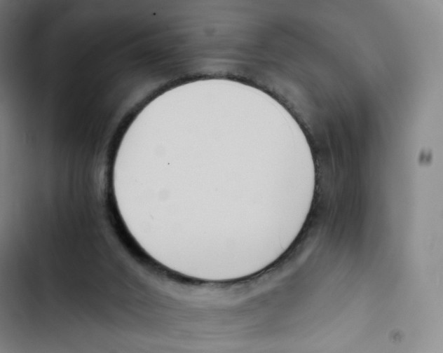 X0000102820016200809151026