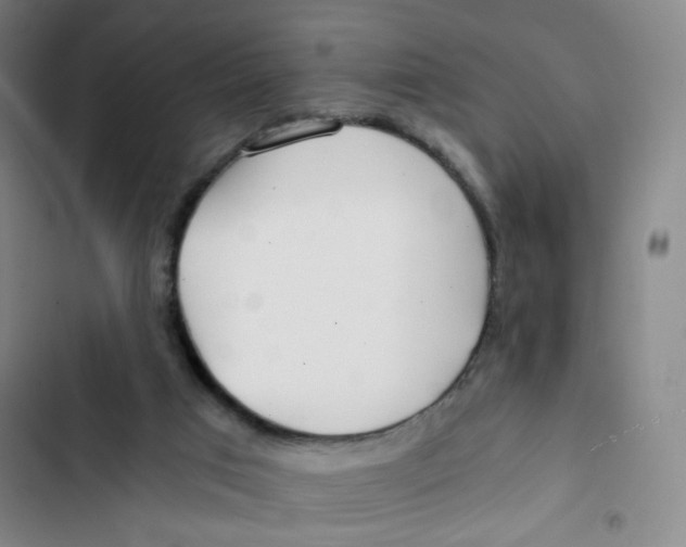 X0000102820017200809151026