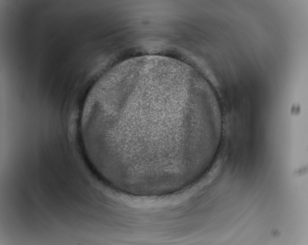 X0000102820018200809151026